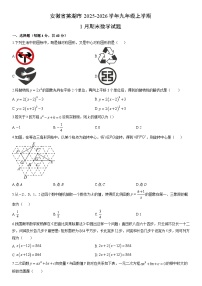 2025-2026学年安徽省芜湖市九年级上学期1月期末数学试卷（学生版）