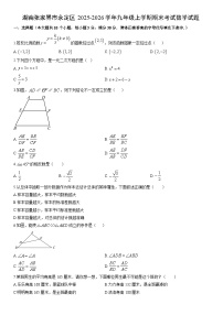 2025-2026学年湖南张家界市永定区九年级上学期期末考试数学试卷（学生版）
