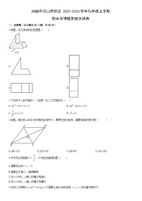 2025-2026学年河南平顶山市郏县九年级上学期期末学情检测数学试卷（学生版）