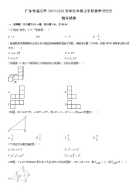 2025-2026学年广东省湛江市九年级上学期期末素养评价三数学试卷（学生版）