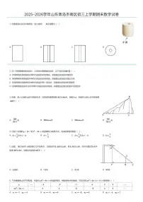 2025~2026学年山东青岛市南区初三上学期期末数学试卷（有答案解析）