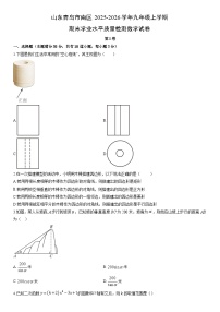 2025-2026学年山东青岛市南区九年级上学期期末学业水平质量检测数学试卷（学生版）