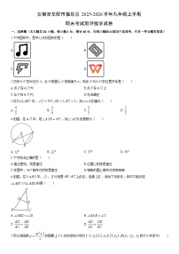 2025-2026学年安徽省阜阳市临泉县九年级上学期期末考试测评数学试卷（学生版）
