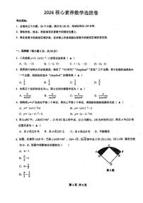 2025-2026学年浙江省宁波市慈溪市慈吉实验学校九年级上学期期末核心素养选拔考试数学试卷(无答案_)试卷