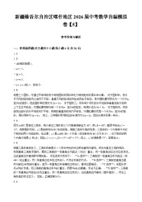 新疆维吾尔自治区喀什地区2026届中考数学自编模拟卷【5】