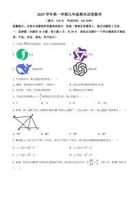 2025-2026学年浙江省台州市路桥区上学期九年级数学期末试题