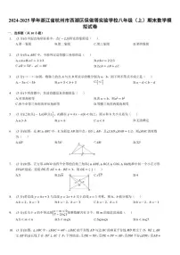 2024-2025学年浙江省杭州市西湖区保俶塔实验学校八年级（上）期末数学模拟（含答案）试卷