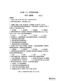 浙江省嘉兴市2025学年第一学期期末七年级数学试卷（无答案）