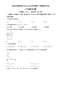 广东省茂名市直属学校八年级上学期1月期末试卷数学试题（原卷版）-A4