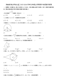 2025-2026学年海南省海口市琼山区九年级上学期期中考试数学试卷（学生版）