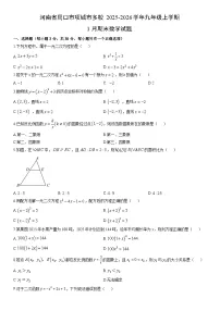 2025-2026学年河南省周口市项城市多校九年级上学期1月期末数学试卷（学生版）