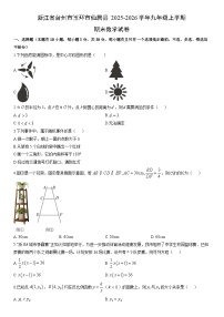 2025-2026学年浙江省台州市玉环市仙居县九年级上学期期末数学试卷（学生版）