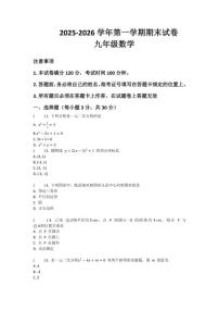 2025-2026学年河南省许昌市鄢陵县张桥三中九年级上册数学期末试卷（含答案）