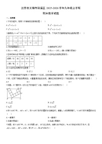 2025-2026学年江苏省无锡市梁溪区九年级上学期期末数学试卷（学生版）