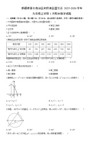 2025-2026学年新疆维吾尔自治区和田地区墨玉县九年级上学期1月期末数学试卷（学生版）
