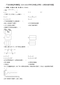 2025-2026学年广东省清远市清新区九年级上学期1月期末数学试卷（学生版）
