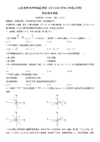 2025-2026学年山东省青岛市市南区某校八年级上学期期末数学试卷（学生版）