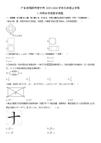 2025-2026学年广东省揭阳市普宁市九年级上学期1月期末考试数学试卷（学生版）