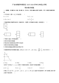 2025-2026学年广东省揭阳市揭西县九年级上学期期末数学试卷（学生版）