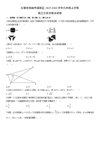 2025-2026学年安徽省淮南市潘集区九年级上学期第三次联考月考数学试卷（学生版）
