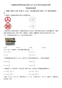 2025-2026学年安徽省合肥市包河区名校九年级上学期期末数学试卷（学生版）