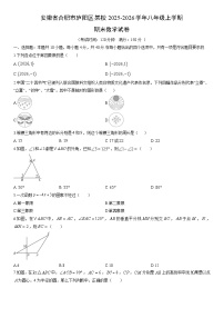 2025-2026学年安徽省合肥市庐阳区某校八年级上学期期末数学试卷（学生版）