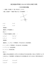 2024-2025学年浙江省嘉兴市名校七年级下学期5月月考数学试卷（解析版）