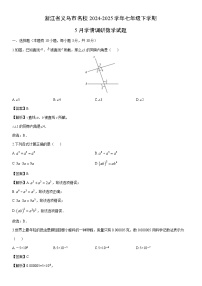 2024-2025学年浙江省义乌市名校七年级下学期5月学情调研数学试卷（解析版）