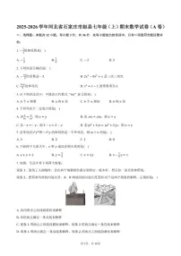2025-2026学年河北省石家庄市赵县七年级（上）期末数学（A卷）试卷（含答案）