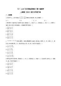 数学七年级下册（2024）二元一次方程组的概念达标测试