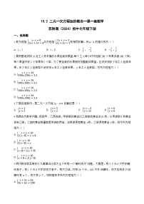 苏科版（2024）七年级下册（2024）二元一次方程组的概念同步测试题