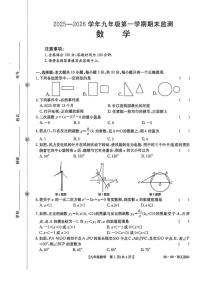 2025-2026学年甘肃省定西市岷县九年级上学期1月期末数学试题_(含答案_)