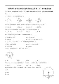 2025-2026学年云南省红河州红河县九年级上学期期中数学_(含答案_)试卷