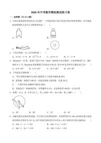 2026年中考数学模拟测试练习卷(含解析)