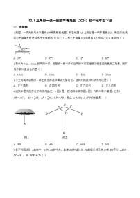 初中数学青岛版（2024）七年级下册（2024）三角形达标测试