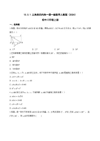 初中数学人教版（2024）八年级上册（2024）第十三章 三角形13.3 三角形的内角与外角13.3.1 三角形的内角课时练习