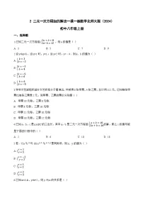 初中北师大版（2024）2 二元一次方程组的解法综合训练题