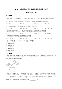 初中华东师大版（2024）2. 直角三角形的判定当堂达标检测题