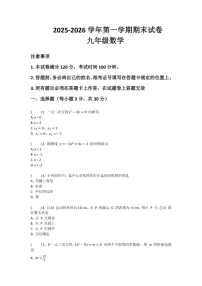 2025-2026学年河南省许昌市鄢陵县彭店二中九年级上册数学期末试卷