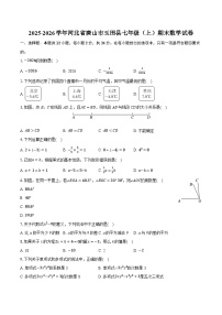 2025-2026学年河北省唐山市玉田县七年级（上）期末数学试卷