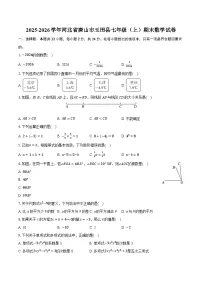 2025-2026学年河北省唐山市玉田县七年级（上）期末数学试卷
