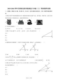 2025-2026学年甘肃省定西市临洮县八年级（上）期末数学试卷