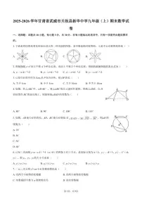 2025-2026学年甘肃省武威市天祝县新华中学九年级（上）期末数学试卷