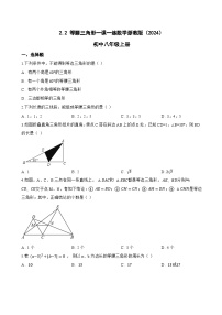 初中数学浙教版（2024）八年级上册（2024）2.2 等腰三角形同步训练题