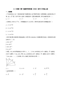 初中数学苏科版（2024）八年级上册（2024）第2章 实数的初步认识2.3 实数课时作业