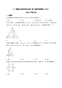 初中数学浙教版（2024）八年级上册（2024）第2章 特殊三角形2.3 等腰三角形的性质定理一课一练