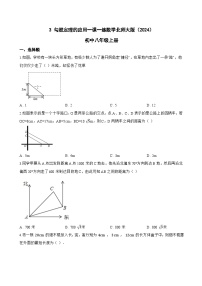 初中数学北师大版（2024）八年级上册（2024）3 勾股定理的应用课后作业题