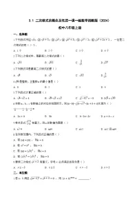 初中数学湘教版（2024）八年级上册（2024）第3章 二次根式3.1 二次根式的概念及性质课后测评