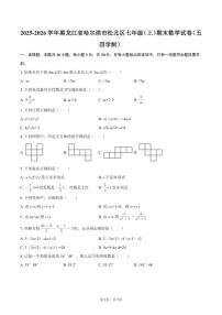 2025-2026学年黑龙江省哈尔滨市松北区七年级（上）期末数学试卷
