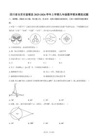 2025-2026学年四川省自贡市富顺县上学期九年级数学期末模拟试题_(含答案_)